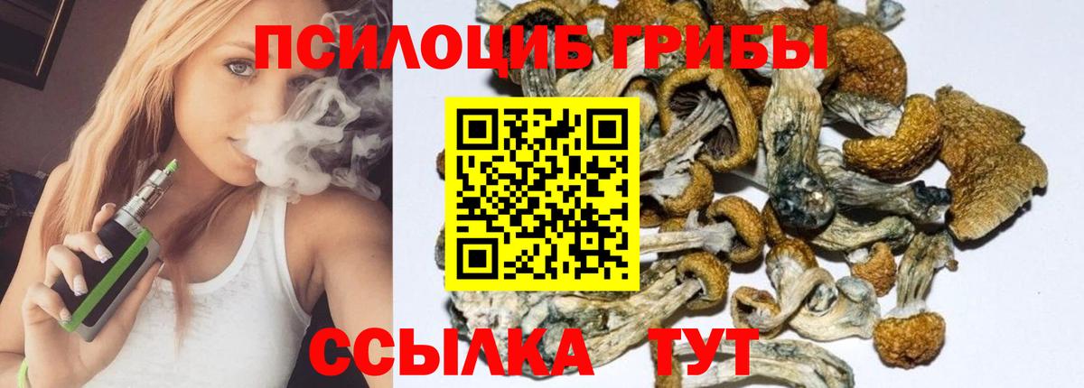 Ростов-на-Дону  Псилоцибиновые грибы Magic Shrooms  Псилоцибиновые грибы мицелий  Вход с VPN 