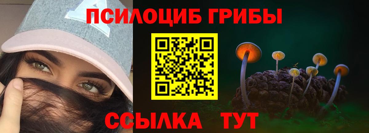 Галлюциногенные грибы GOLDEN TEACHER Ростов-на-Дону